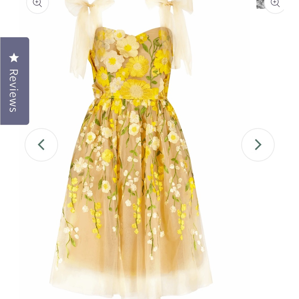 Jessakae NWT Yellow Floral Embroidered Tulle Dress
